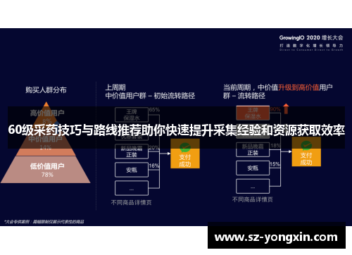60级采药技巧与路线推荐助你快速提升采集经验和资源获取效率